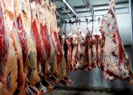 Brasil tem 50 frigoríficos aptos a iniciar exportação para a China