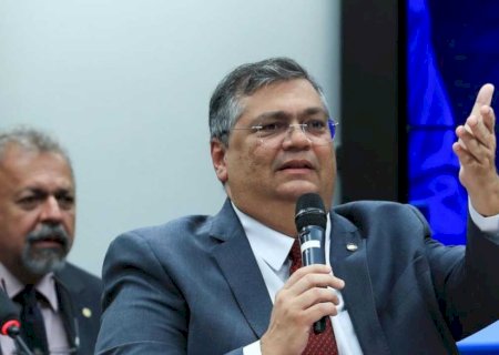 Dino: número de armas recadastradas supera o de registros anteriores
