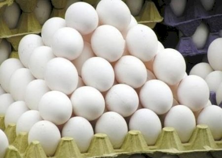 A gigantesca produção de ovos do Brasil | Brasilagro