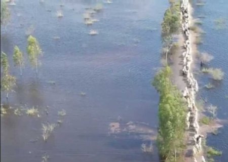 Usina abre comportas e provoca alagamento sem precedentes em Batayporã; veja o vídeo