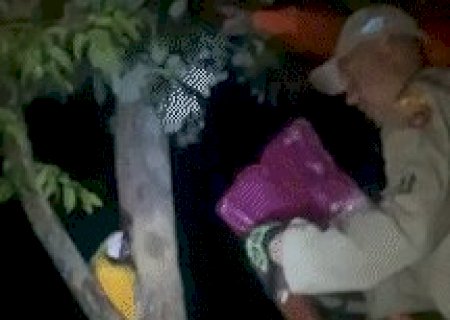 Arara-canind&eacute; ferida &eacute; resgatada durante a madrugada no Dan&uacute;bio Azul