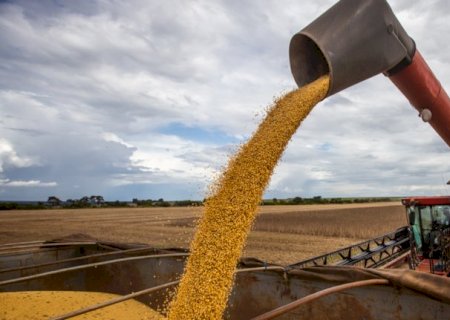 Estado fica entre cinco maiores exportadores de soja e milho em 2025
