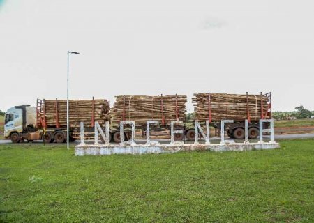 Justi&ccedil;a manda Suzano pagar R$ 1,8 milh&atilde;o em impostos &agrave; Prefeitura de Inoc&ecirc;ncia