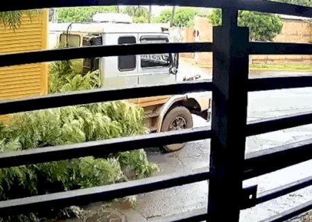 Convers&atilde;o proibida de caminh&atilde;o dos Correios atinge &aacute;rvore no Cabre&uacute;va