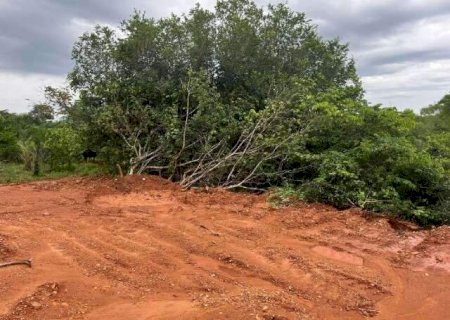 Munic&iacute;pio desmata para construir cal&ccedil;ada e paga R$ 10 mil em indeniza&ccedil;&atilde;o