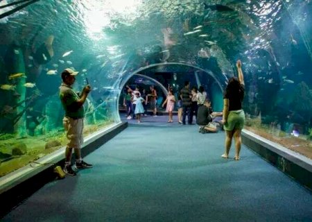 Bioparque Pantanal ter&aacute; R$ 10,5 milh&otilde;es em contratos de manuten&ccedil;&atilde;o e opera&ccedil;&atilde;o
