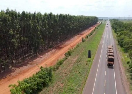 Concession&aacute;ria da Rota da Celulose capta R$ 1 bilh&atilde;o para ampliar investimentos