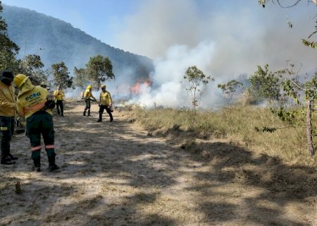 Queima prescrita in&eacute;dita no Amolar refor&ccedil;a preven&ccedil;&atilde;o aos inc&ecirc;ndios no Pantanal