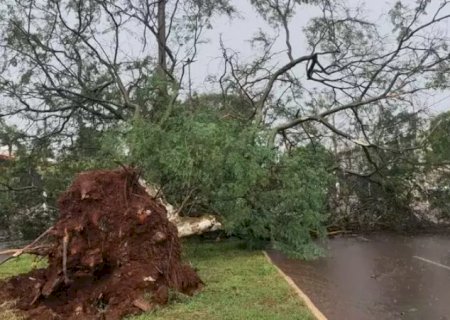 Cidade de MS entra na lista das recordistas em tornados no Brasil