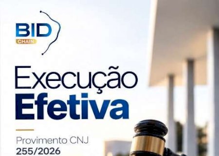 Execu&ccedil;&atilde;o efetiva: uma nova perspectiva para o leil&atilde;o judicial
