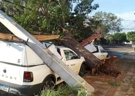 MS ter&aacute; tr&ecirc;s dias de alerta para tempestades e ventos podem chegar a 100 km/h